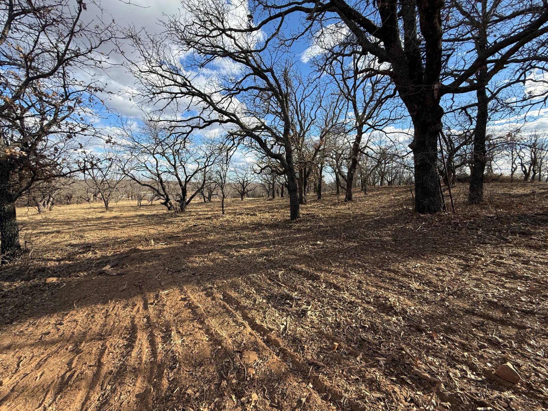Legacy Land Development | Land Clearing & Skid Steer Services North Texas