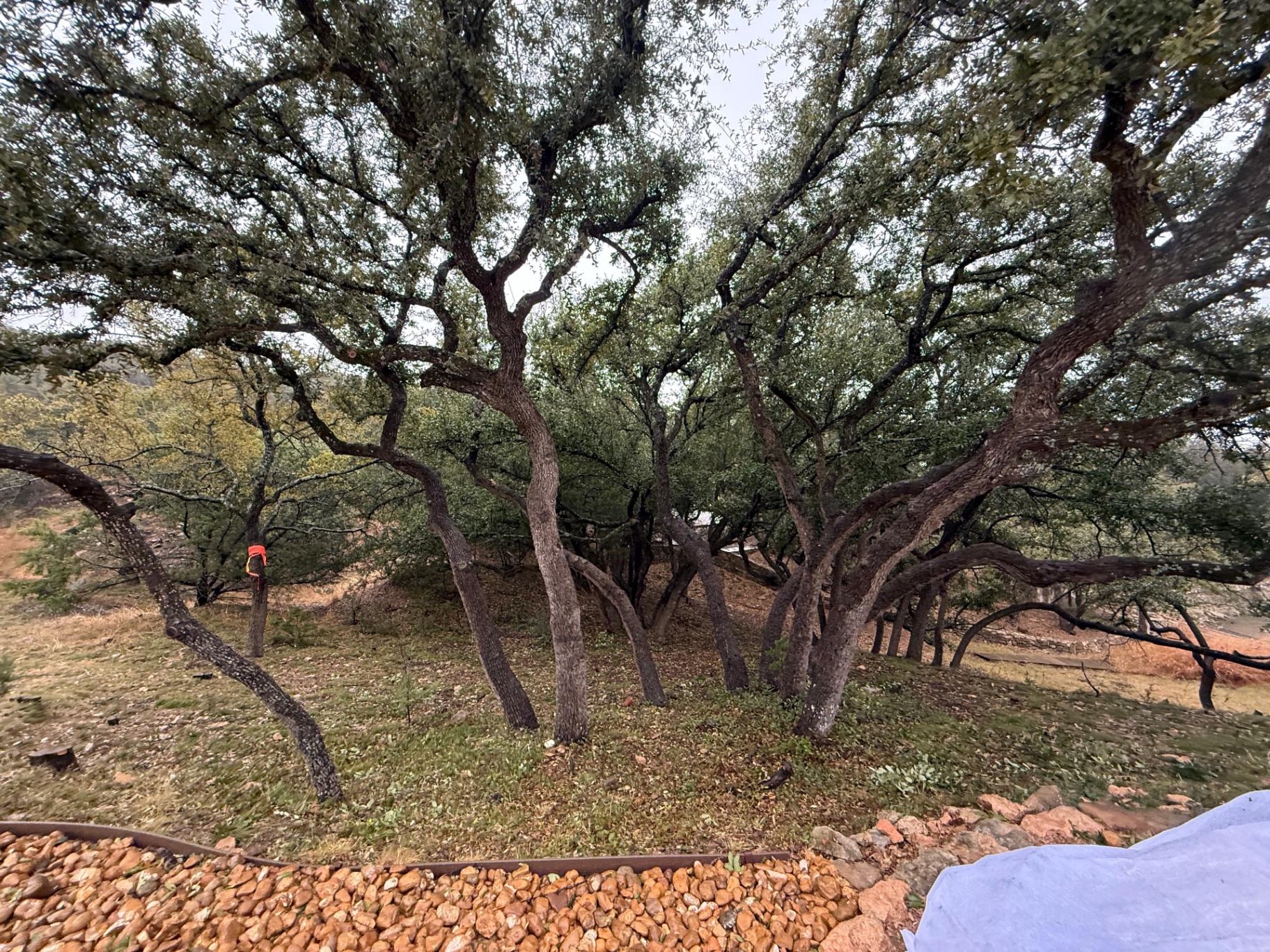 Legacy Land Development | Land Clearing & Skid Steer Services North Texas