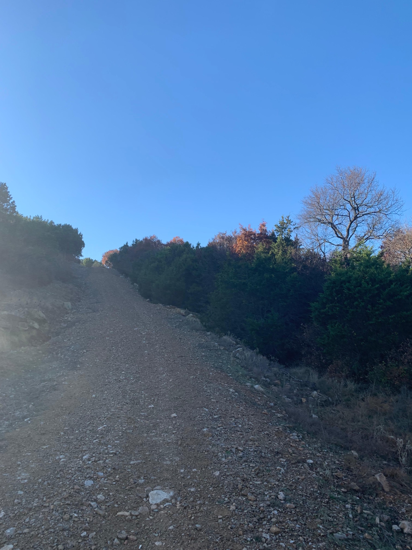 Legacy Land Development | Land Clearing & Skid Steer Services North Texas